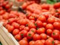 В Украине начали дешеветь помидоры: эксперты озвучили причину