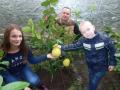 Садовод из Черновицкой области нашел способ выращивать авокадо, кофе, имбирь и папайю