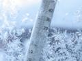 Зима пока не шутит: украинцам потепление обещают только с 30 января