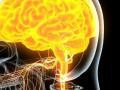 Сканирование мозга покажет настоящий уровень интеллекта - ученые