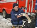 В Черновцах спасли лебедя-одиночку, который замерзал без еды