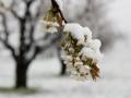 В Украину идет дождь, мокрый снег и сильный ветер