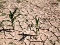 Во Франции из-за засухи ввели ограничение на потребление воды