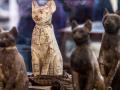 В Египте впервые показали мумии животных из древнего некрополя
