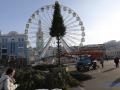 На Контрактовой площади начали устанавливать новогоднюю елку