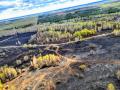 В Чернобыльской зоне ликвидировали все источники огня