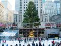 В Нью-Йорке установили Рождественскую елку 