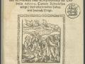 Первая книга об украинских козаках вышла в 1594 году в Австрии - ученый