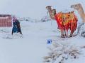 В Сахаре выпал снег, Стамбул и Кашмир тоже замело