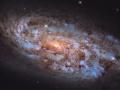  Hubble сделал снимок уникальной галактики в созвездии Голубя