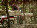 В США разработали робота-перевозчика, который будет помогать фермерам собирать урожай