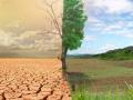 Эколог предупредила об огромных изменениях климата в Украине: времени осталось в обрез