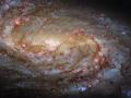 Hubble показав спіральну галактику в сузір'ї Лева