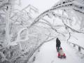 До конца недели в Украине ударят трескучие морозы: появился прогноз на 7 дней