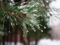Синоптики обіцяють погодні сюрпризи на Новий рік: чи чекати на сніг