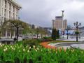 У центрі Києва розквітли 100 тисяч тюльпанів