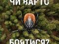 «Счастья в этом бренном мире не ищи, исчезнет вирус, нападут клещи». Бореліоз: чи варто боятися?