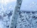 Украинцам на понедельник обещают до 14°С мороза
