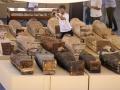 "Відкриття року": вчені знайшли у гробниці візира фараона ще 60 мумій
