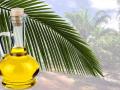 Как проверить продукты на содержание пальмового масла