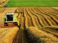 Аграрии призвали Порошенко не вводить санкции против иностранных производителей минудобрений