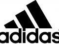 Adidas рассказал, сколько планирует заработать на финале Евро-2012