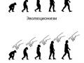 «Креационисты» против «эволюционистов». Пример бессмысленной дискуссии