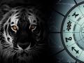 Рік Тигра 2022: астролог Глоба розповів, на які знаки Зодіаку чекає неймовірний успіх