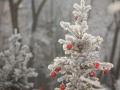 Синоптики на Рождество обещают до 14° мороза