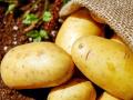 Чем полезен и опасен картофель