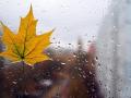 Много дождей и перепады температур: каким будет начало ноября в Украине