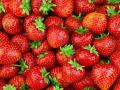 Фрукты и ягоды бьют рекорды дороговизны: что будет с ценами на "витамины" летом