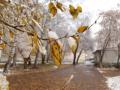 Потепління, снігопади та дощі: на українців незабаром чекає різка зміна погоди