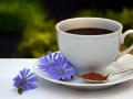 Чай, кава чи цикорій: у «Головній темі» з’ясували, що бадьорить без шкоди для здоров’я