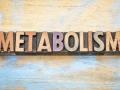 ТОП-5 причин, замедляющих метаболизм 