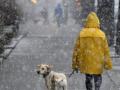 В Украине ухудшается погода - снова мокрый снег и гололед