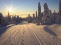 Прогноз погоди на 20 грудня: до України йде потепління