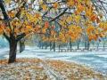На початку листопада в Україні випаде сніг і вдарять морози: де похолодає