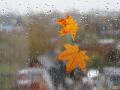 В Украине местами дожди, температура воздуха днем до +9
