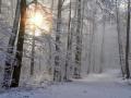 Вночі — до 9 морозу: синоптики розповіли про погоду в Україні на вихідні