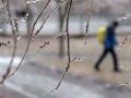 Ледяные дожди и высокая температура: синоптики предсказали аномальную зиму в Украине