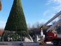 В Запорожье уже устанавливают новогоднюю елку
