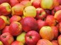 В Украине и Польше дорожают яблоки