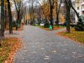Пятница обещает быть немного теплее: прогноз погоды в Украине на 12 ноября