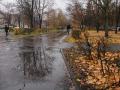 На смену морозам в Украину идут дожди: где понадобится зонт