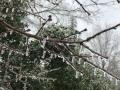 Погода в Украине 9 декабря: осадки в виде снега и дождя