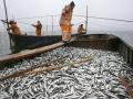 Украина и Россия подписали договор о вылове рыбы в Азовском море