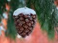 Погода зимой будет необычной: синоптик рассказала об особенностях января и февраля