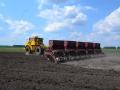 Україна зібрала рекордний в історії урожай зернових: що це означає для економіки