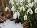 Резкое похолодание и весна в феврале: какая погода будет в Украине до конца зимы